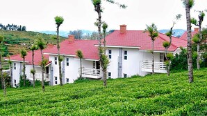Un edificio blanco con techo rojo, rodeado de exuberantes campos de té y árboles.