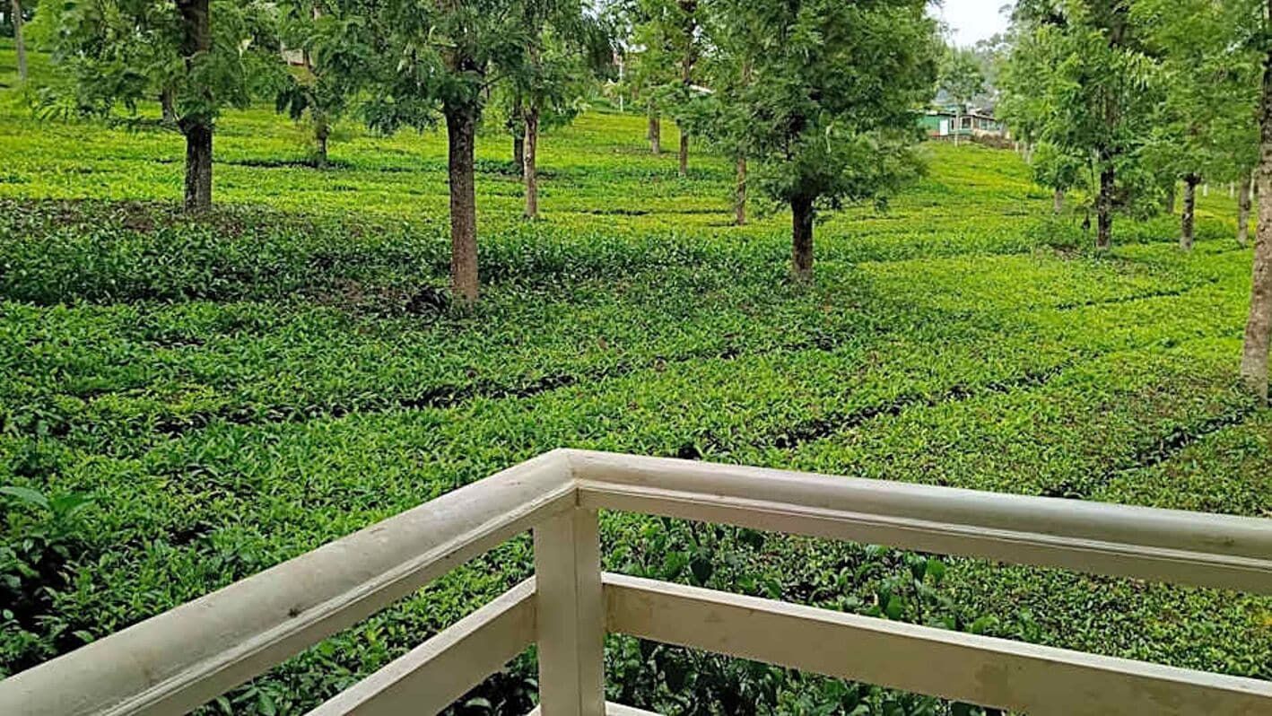 Luksus-dobbeltrom | Utsikt fra balkong