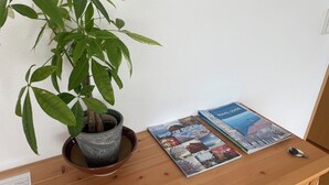 Un bureau en bois, sur lequel se trouvent un pot de plante, un guide de voyage et une clé.