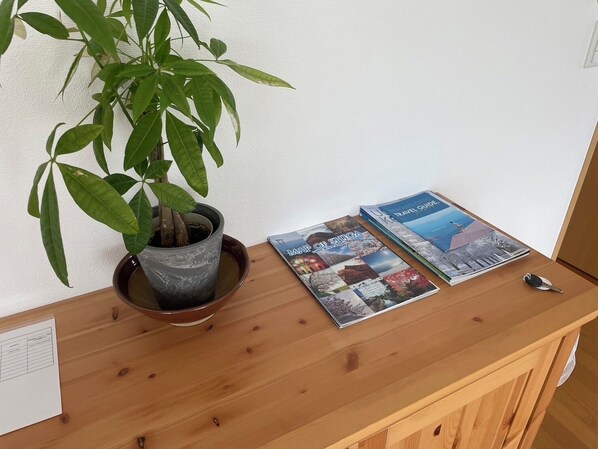 Un escritorio de madera con una planta en maceta, una guía de viajes y una llave.