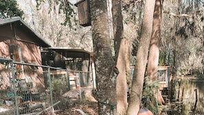 Una cabaña rústica de madera, rodeada de naturaleza con árboles y un pequeño estanque.
