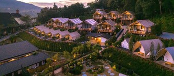 Zen By Stellar Cameron