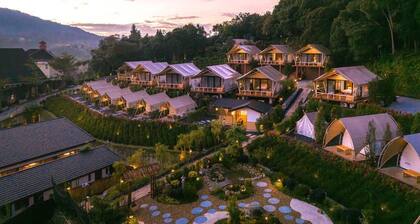 Zen By Stellar Cameron