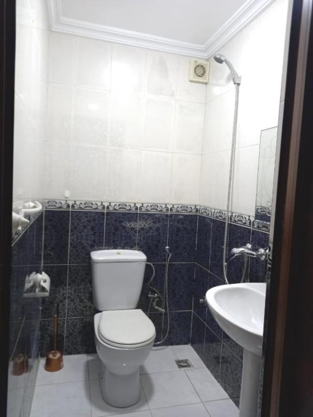 Serviettes fournies, papier toilette