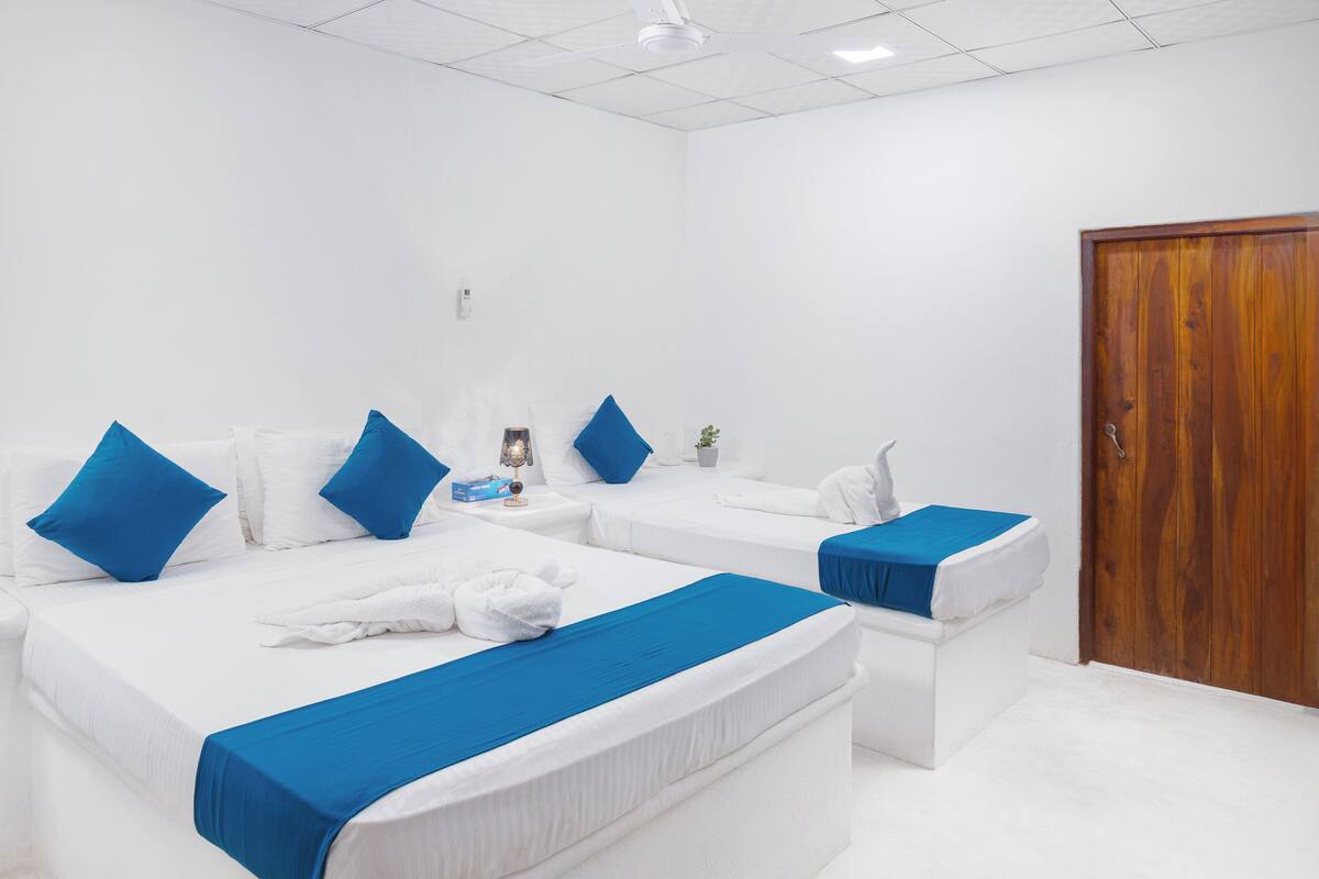 A hotel room with two beds, each with blue bedding and white pillows. There is a wooden door and a small plant on the nightstand.