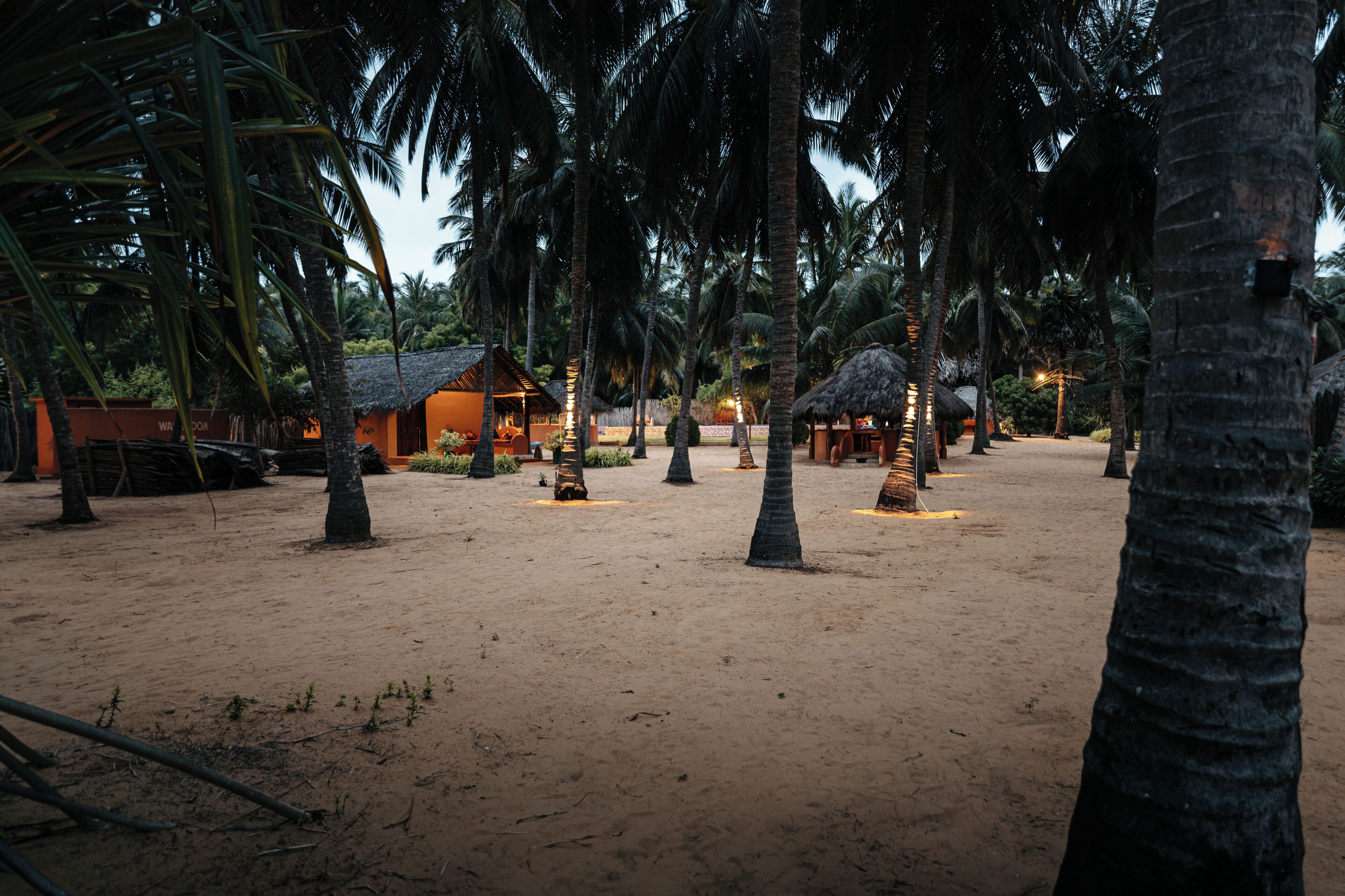 A sandy area with palm trees and thatched-roof structures, likely part of a resort.