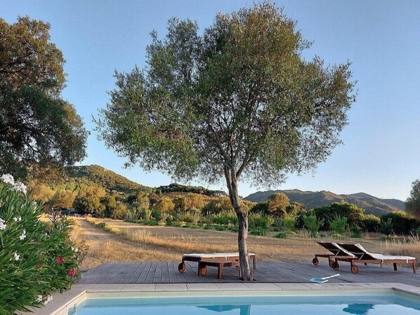 Un área de piscina con tumbonas de madera y un árbol.