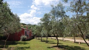 A red building with a small garden and trees in front.