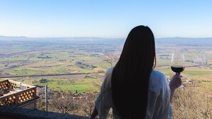 Une personne tenant un verre de vin, contemplant un paysage composé de champs et de bâtiments éloignés.