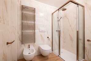 Shower, hair dryer, bidet, towels