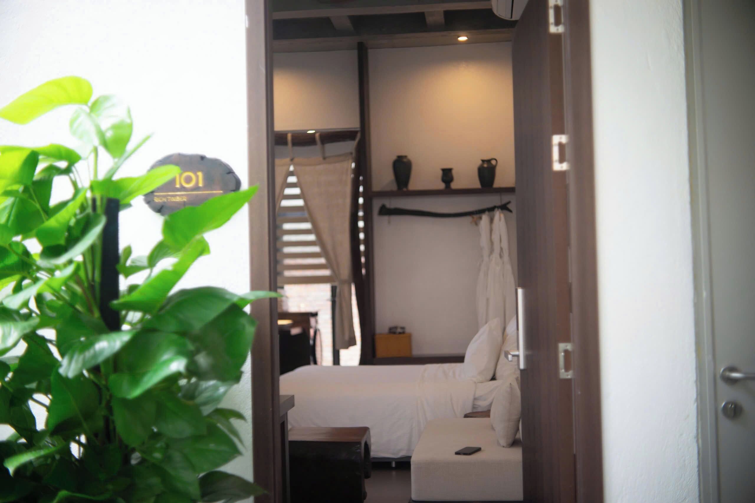 Una habitación con cama, mesita de noche, pequeño escritorio y planta en maceta. Hay un cartel con el número 101 en la pared.