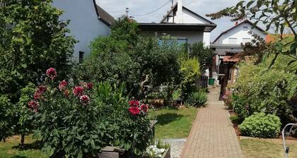 Ferienhaus 'Gründaublick' mit gemeinsamer Terrasse, gemeinsamem Garten und Wi-Fi