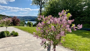 Ein gepflasterter Weg führt zu einem Haus, im Vordergrund steht ein kleiner Baum.