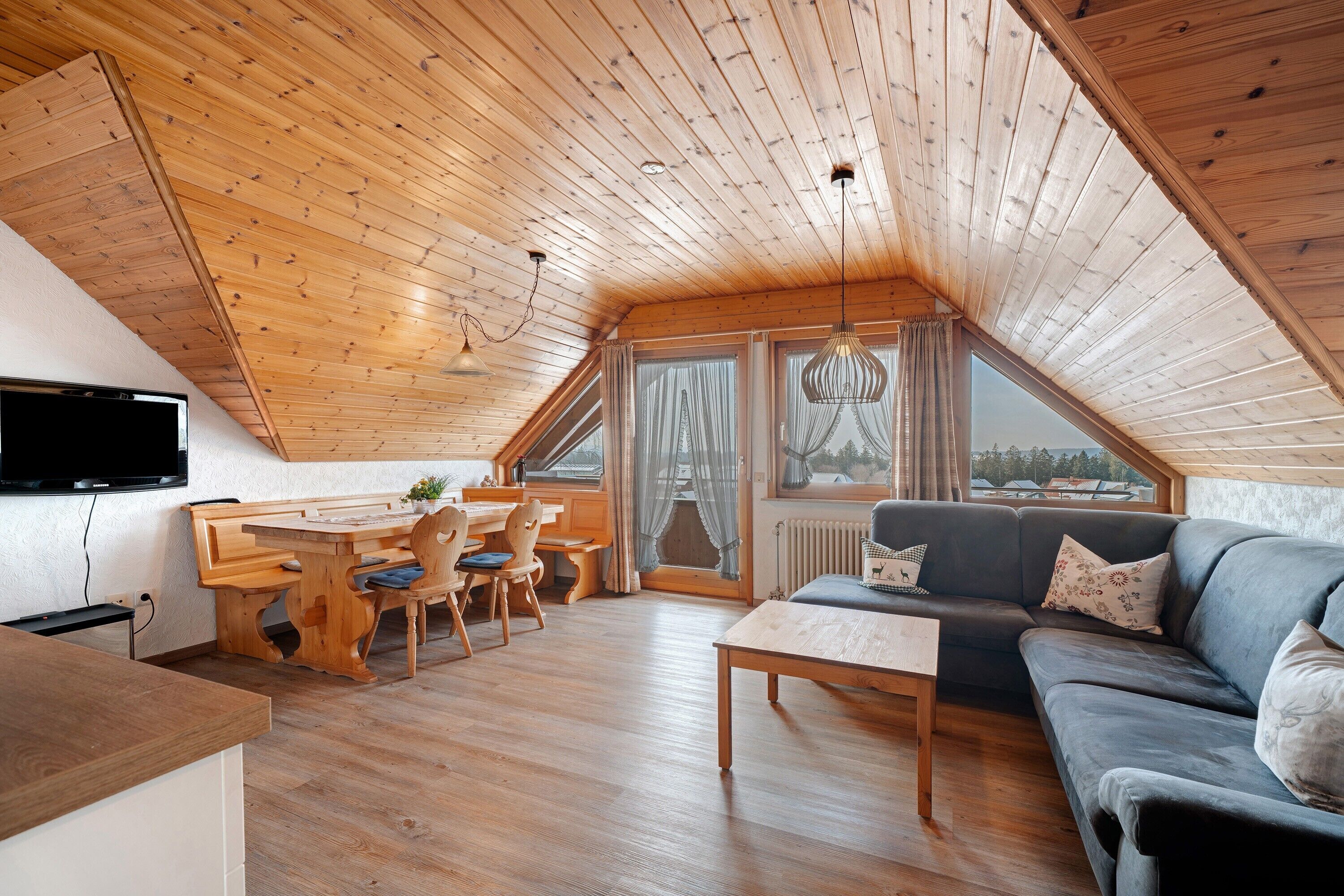 Fernseher, Tischtennisplatte