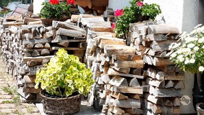 Holzstapel vor einem Gebäude mit Blumenkästen.
