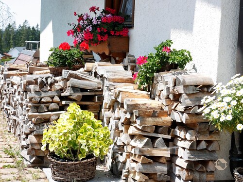 Apartment 'Kandelblick Mit 60qm' with Mountain View, Private Terrace and Wi-Fi