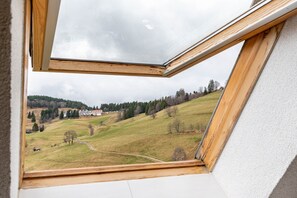 A skylight window with a view of a green landscape and trees. - Apartment 'Buche' with Mountain View, Shared Terrace and Wi-Fi (Todtnau)