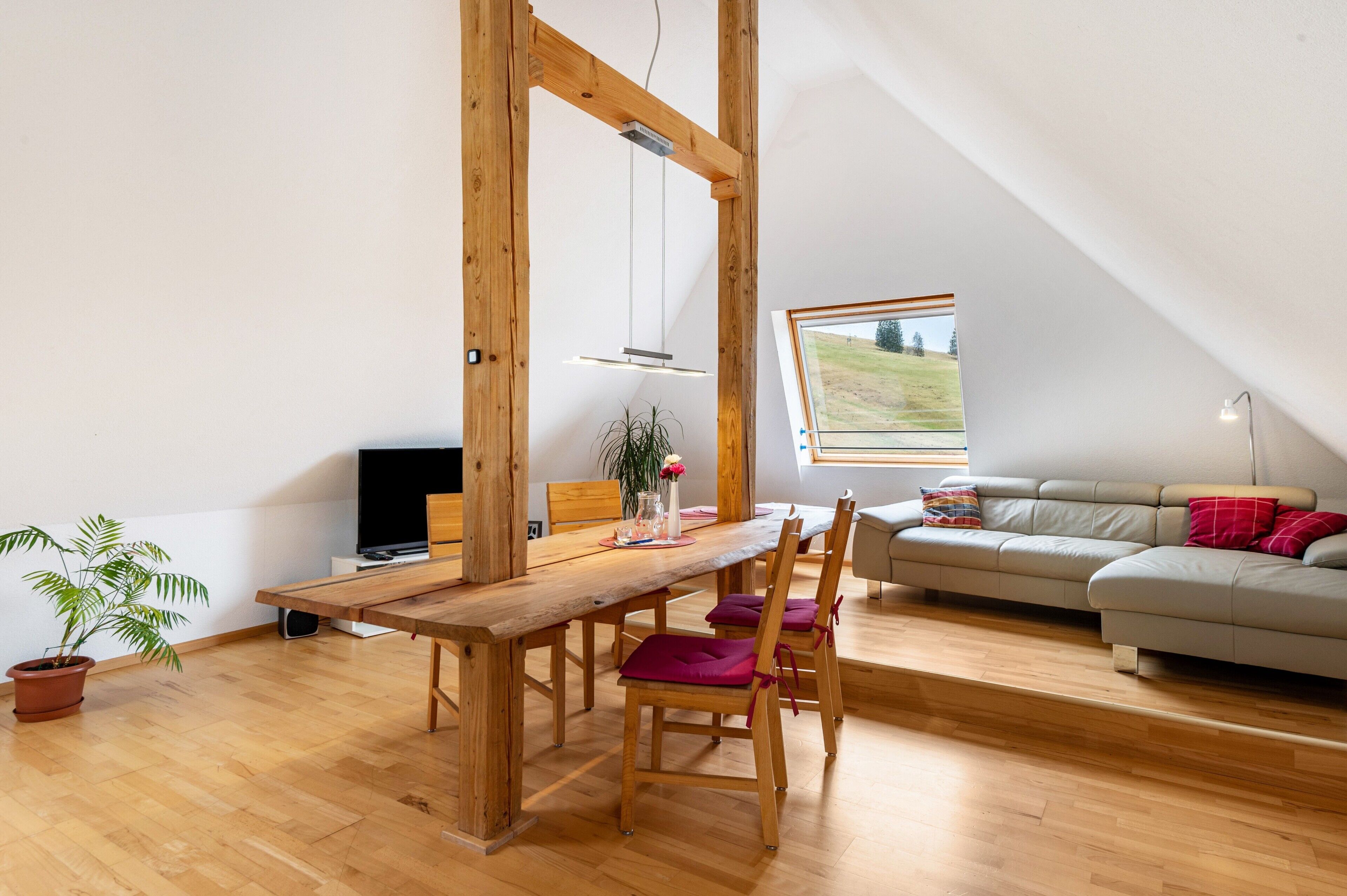 Ferienwohnung 'Buche' Mit Bergblick, Gemeinschaftsterrasse Und Wi-fi - Todtnau