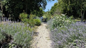 A gravel path flanked by lavender plants and trees, leading to a bench. - Stylish Manor House, 6 Bed, Heated Outdoor Pool, Outdoor Kitchen, Sleeps 15 (Pouille)