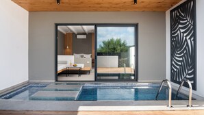 Un área de piscina interior moderna con techo de madera, puerta corredera de vidrio que da a un salón y un panel decorativo negro en la pared.