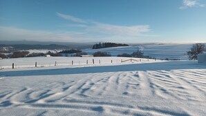 Paisaje nevado con cielo despejado, árboles lejanos y una valla.
