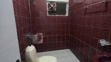 Shower, towels, soap, toilet paper