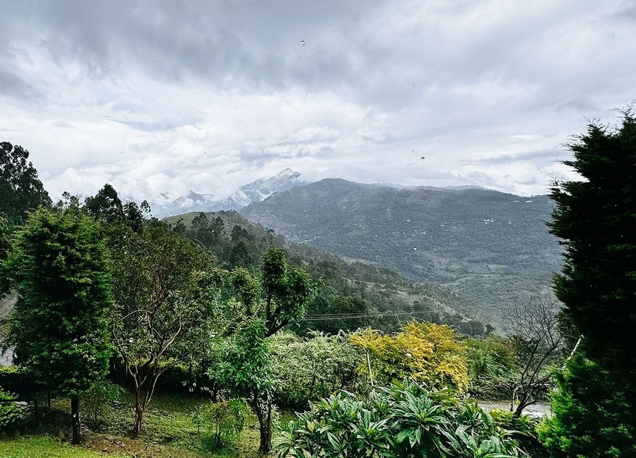 Un paisaje montañoso con abundante vegetación y cielo nublado.