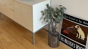 A room with a white cabinet, a flat-screen TV on top, a small plant, and a poster on the wall. - Cozy studio guest house near the center & trade fair (Nürnberg)