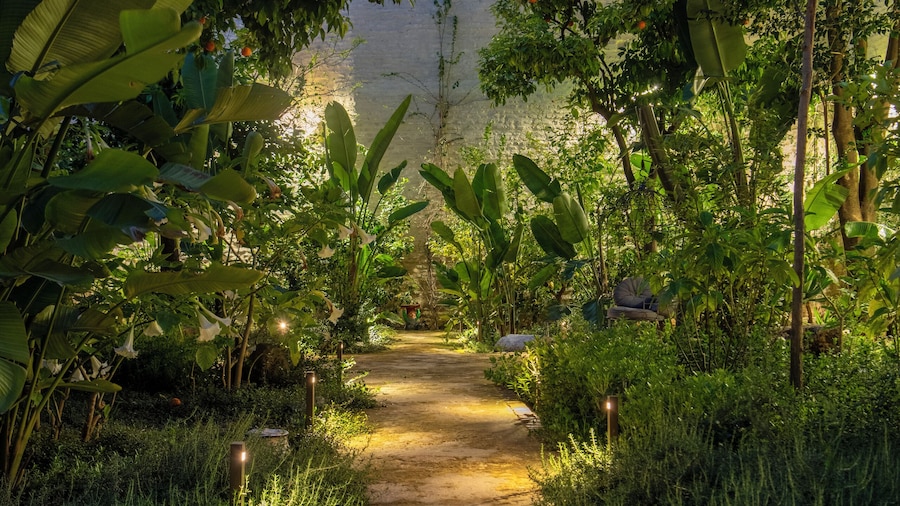 Hotel Boutique Casa del Limonero