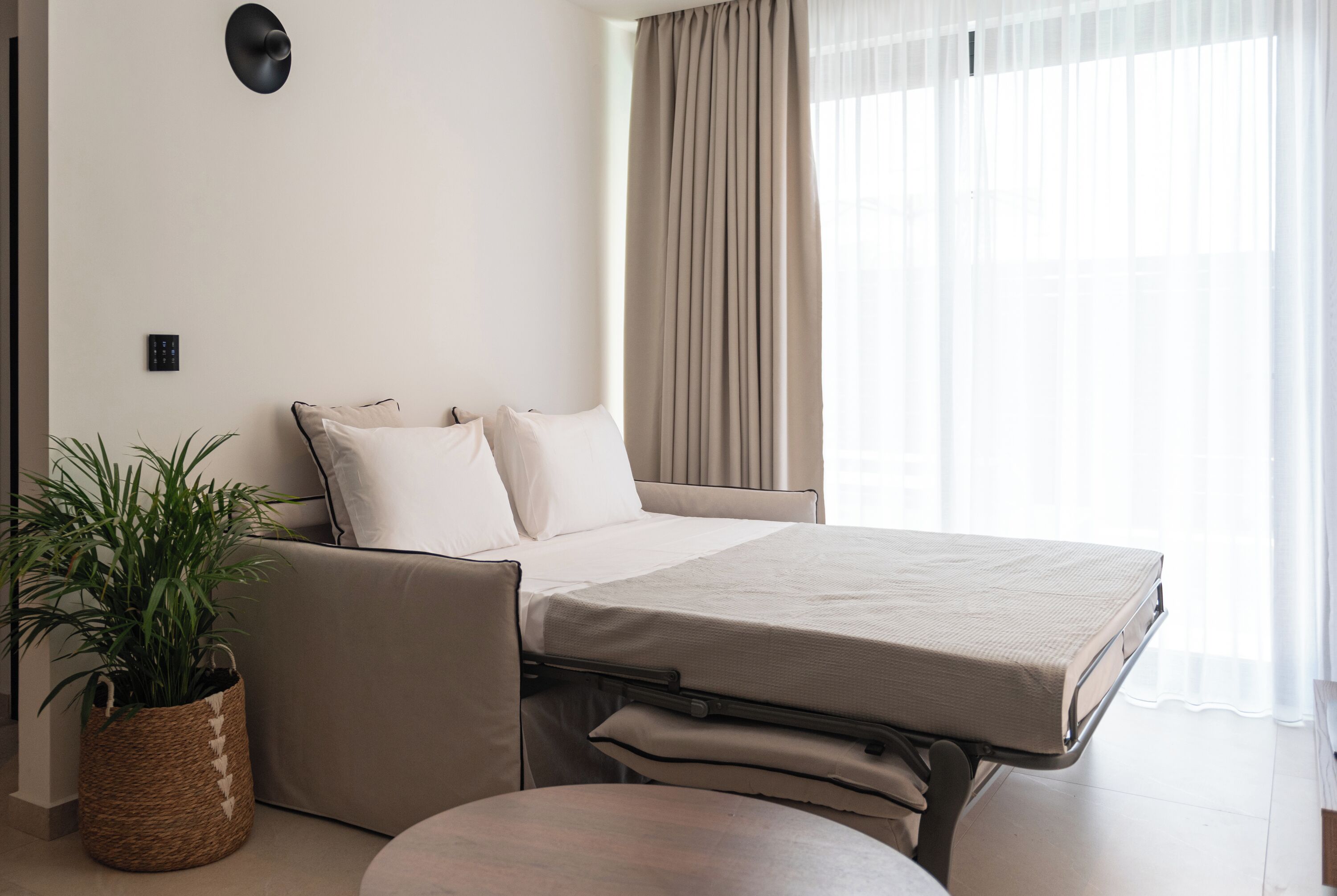 A modern hotel room with a bed, a sofa, a small table, and a potted plant.