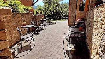 Terras