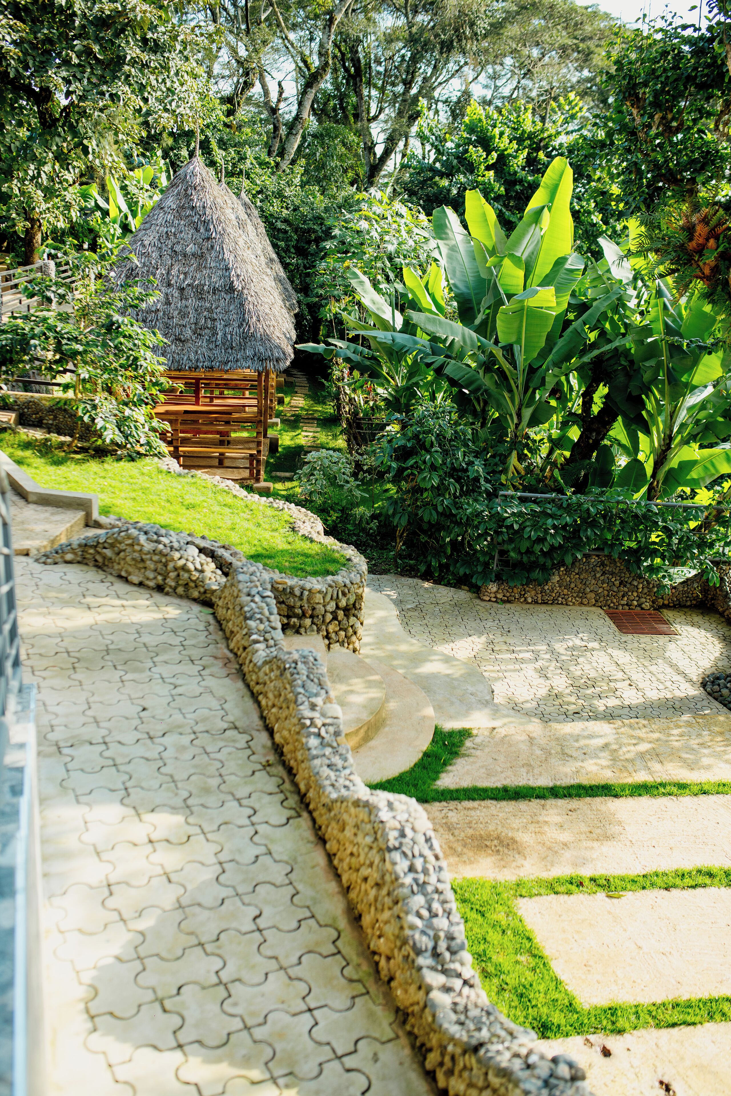 Uma trilha no jardim leva a uma construção com telhado de palha, cercada por vegetação exuberante e um muro de pedra.