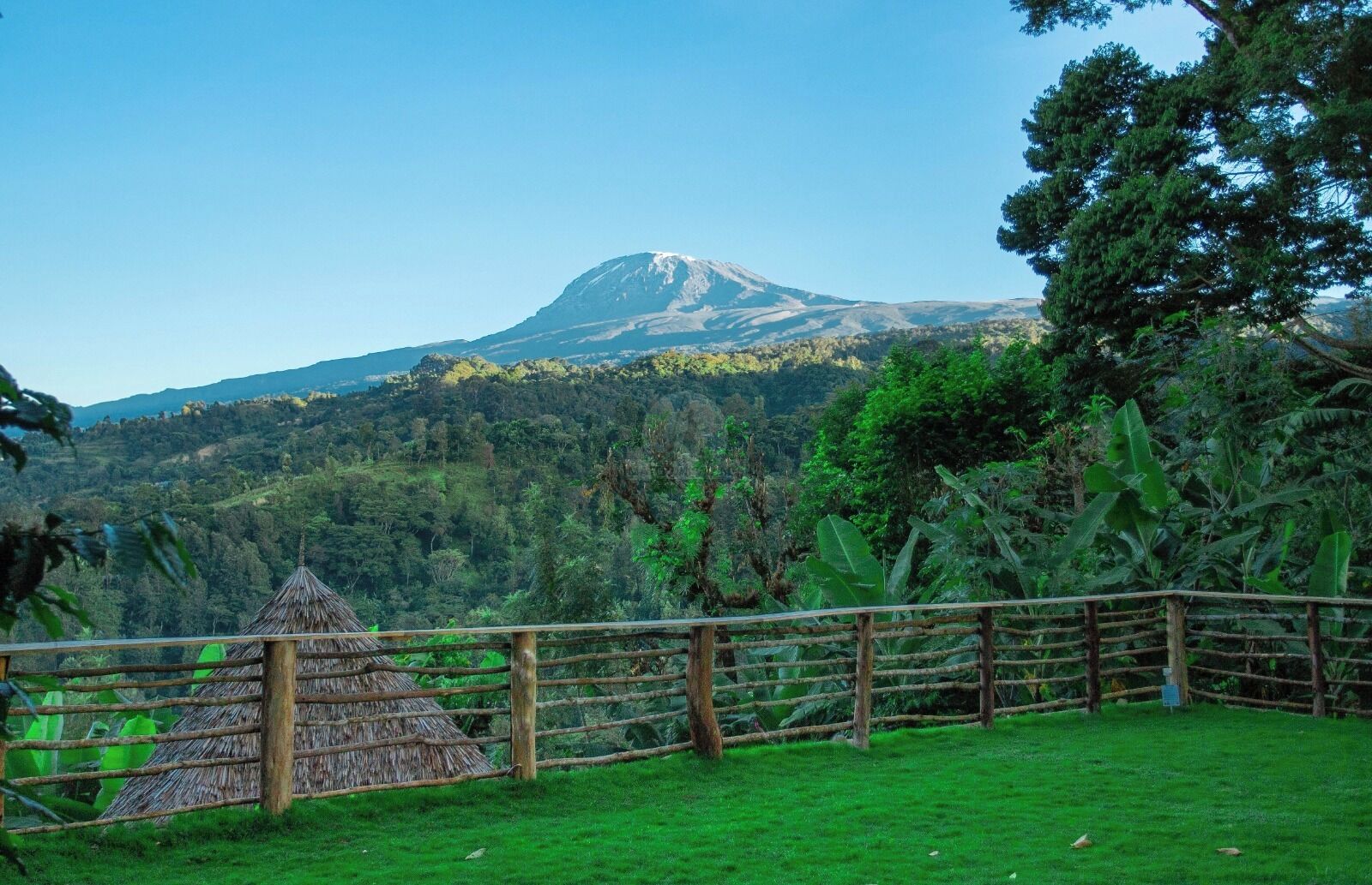 Une zone herbeuse, délimitée par une clôture en bois, avec une construction à toit de chaume, d’où l’on a une vue sur une montagne.