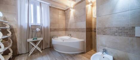 Shower, hair dryer, bidet, towels