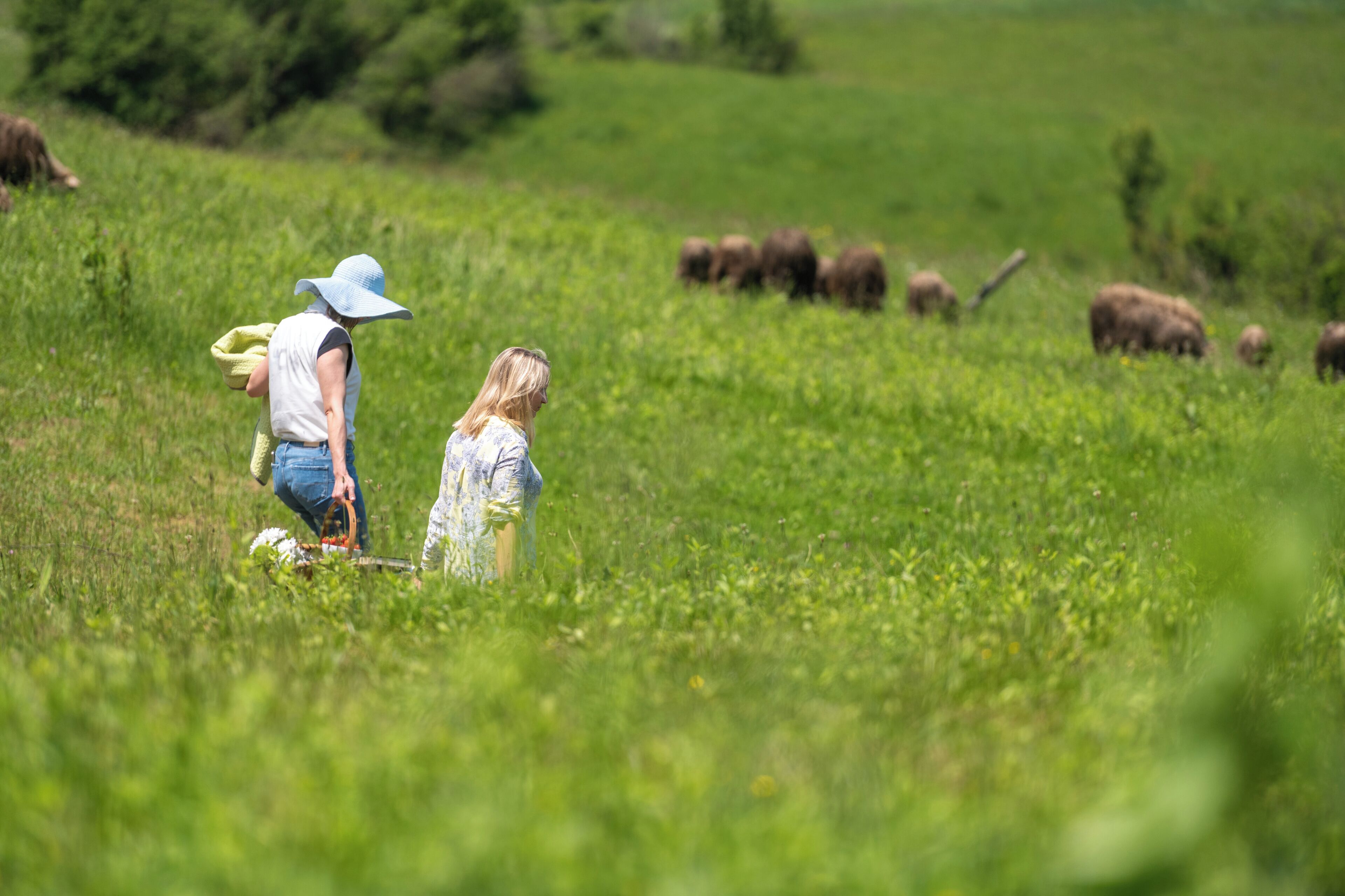 A field with people and animals.
