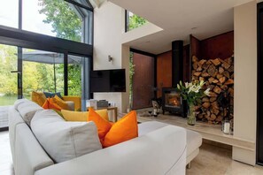 TV, fireplace, offices