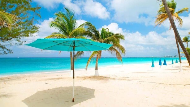 A beach with a turquoise umbrella, palm trees, and clear blue water.