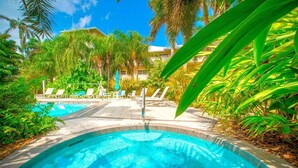 A swimming pool with lounge chairs, surrounded by palm trees and a building in the background.