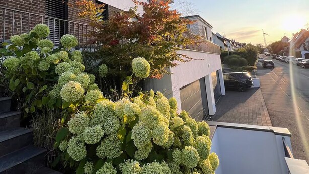 A modern building with a flat roof, large windows, and a brick facade. There are steps leading up to the entrance, and a tree with autumn leaves in the foreground.