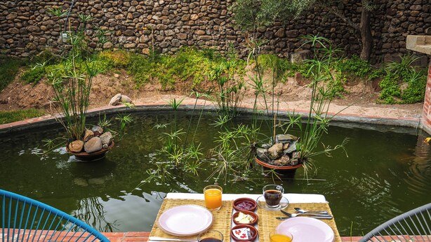 A breakfast setup by a pond with a stone wall backdrop, including plates, toast, fruit, and beverages. - Sakia Talamanzou (Gmassa)