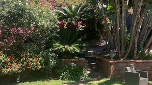 Un jardín bien cuidado con diversas plantas y flores, un camino de piedra y una zona de estar con una silla.