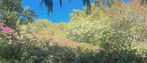 Quadruple Room, Garden View