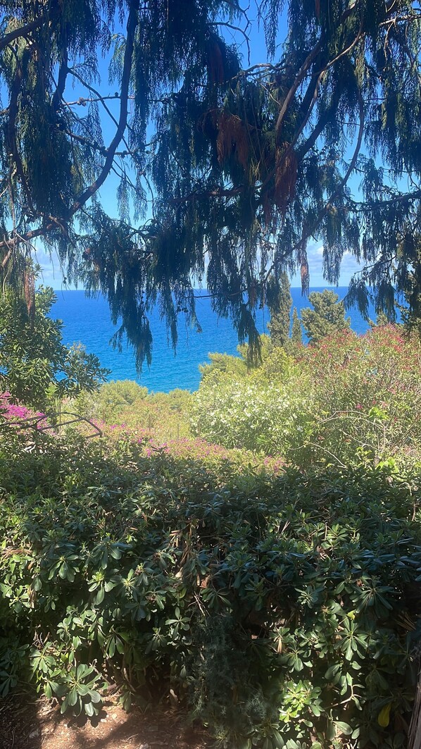 Quadruple Room, Garden View - Bouganville Home Mondello (Palermo)