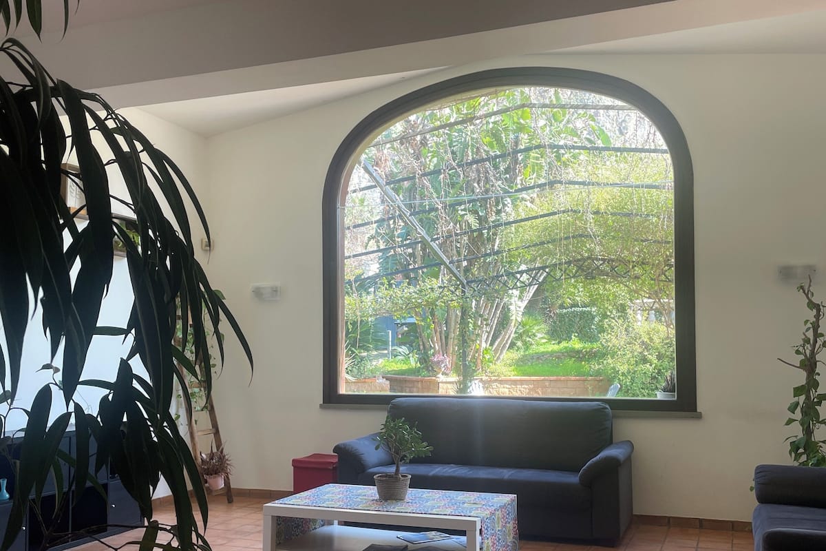 A living room with a large arched window, a sofa, a coffee table, and a potted plant.