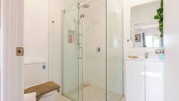 shower and toilet