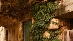 Un bâtiment en pierre doté d’une porte en bois et d’un étroit sentier en pierre menant à l’entrée.
