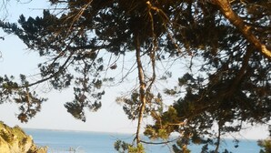 Ein Strand mit einer felsigen Klippe, einem hölzernen Steg und einer Person, die am Ufer entlanggeht.