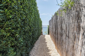 A narrow pathway flanked by a neatly trimmed hedge and a bamboo fence.
