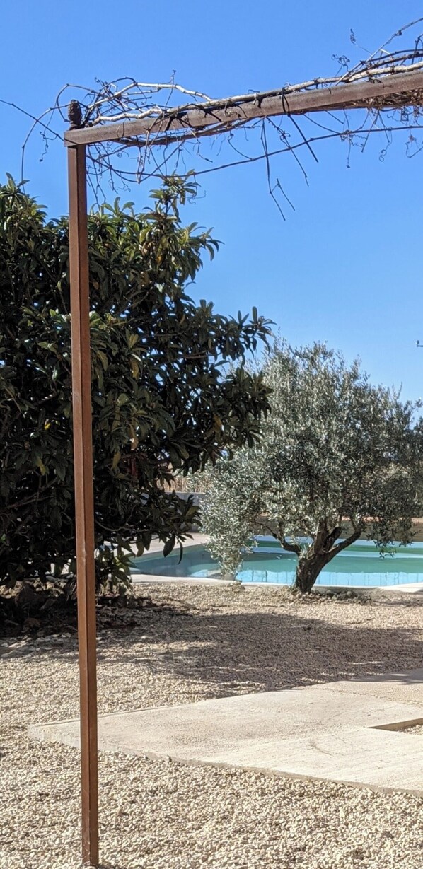 Situated amidst mature olive trees, this pergola offers a serene escape with a glimpse of the nearby swimming pool.