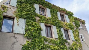 Classic building with a lush ivy-covered facade and light-colored shutters.